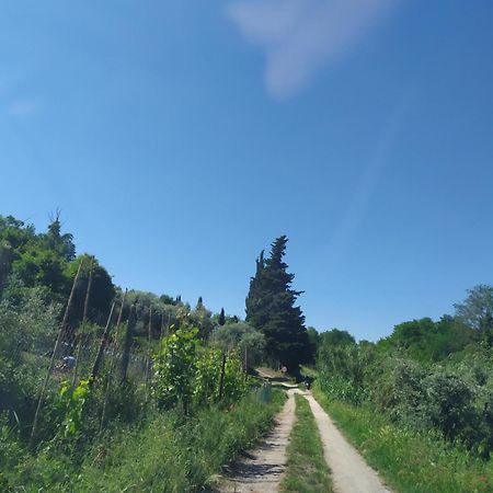 Casa Tre Pini Leilighet Serravalle Pistoiese Eksteriør bilde