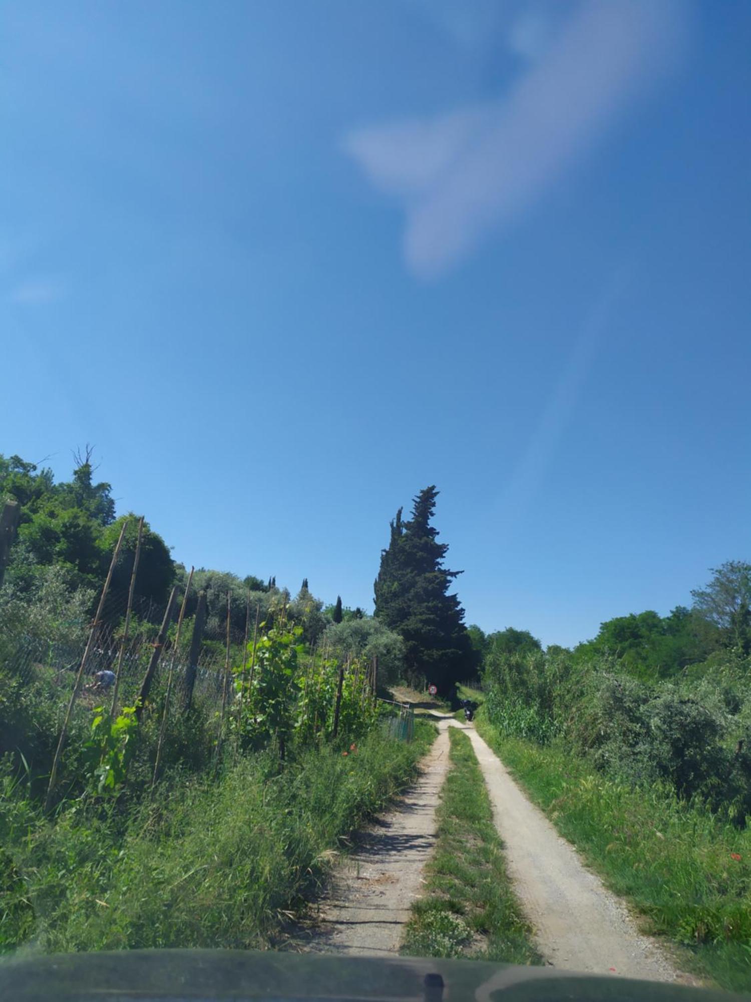 Casa Tre Pini Leilighet Serravalle Pistoiese Eksteriør bilde