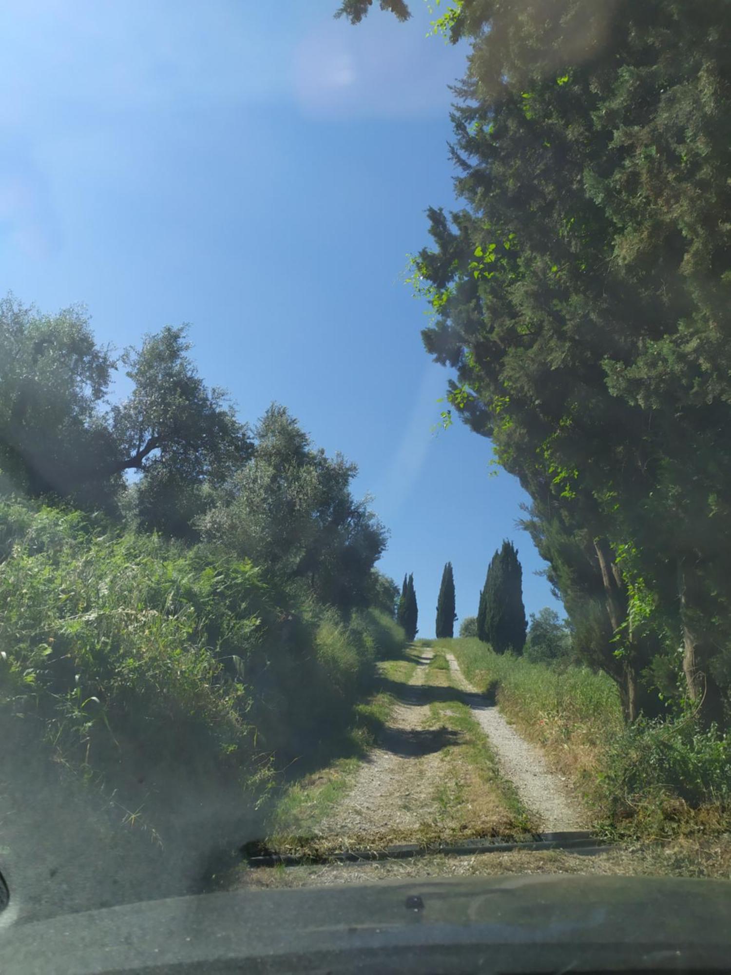 Casa Tre Pini Leilighet Serravalle Pistoiese Eksteriør bilde